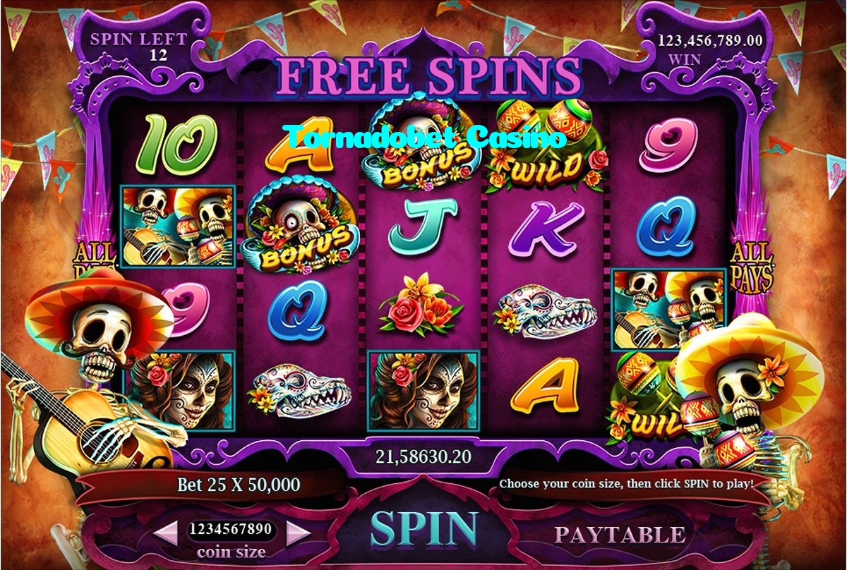 available types of Tornadobet Casino bet including pre-match live express and system bets